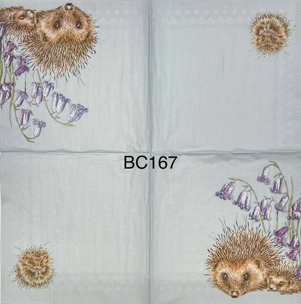 Animals (BC167) - Hedgehogs