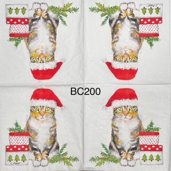 Cats (BC200) - Cat with Santa Hat