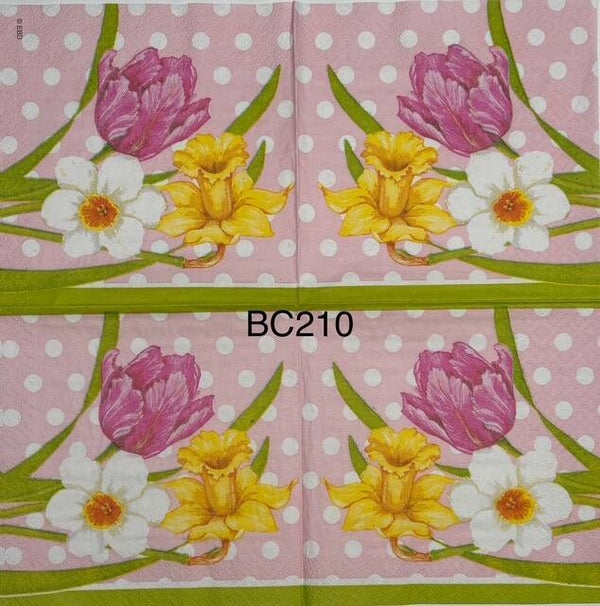 Flowers (BC210) - Tulip, Daffodil, Magnolia