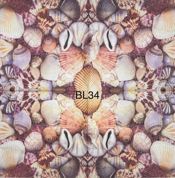 Beach (BL34) - Shells