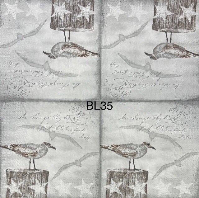 Beach (BL35) - Seaguls