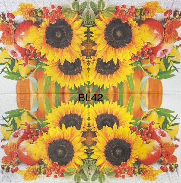 Sunflowers (BL42) - Sunflowers with Fruits