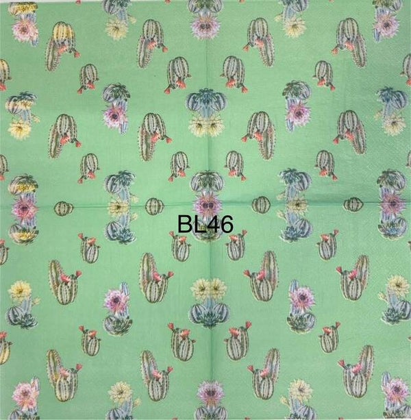 Plants (BL46) - Cactus