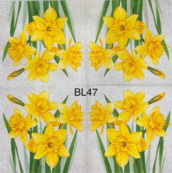 Flowers (BL47) - Yellow Daffodils