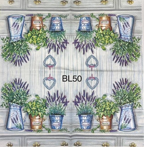 Flowers (BL50) - Pots of Lavender