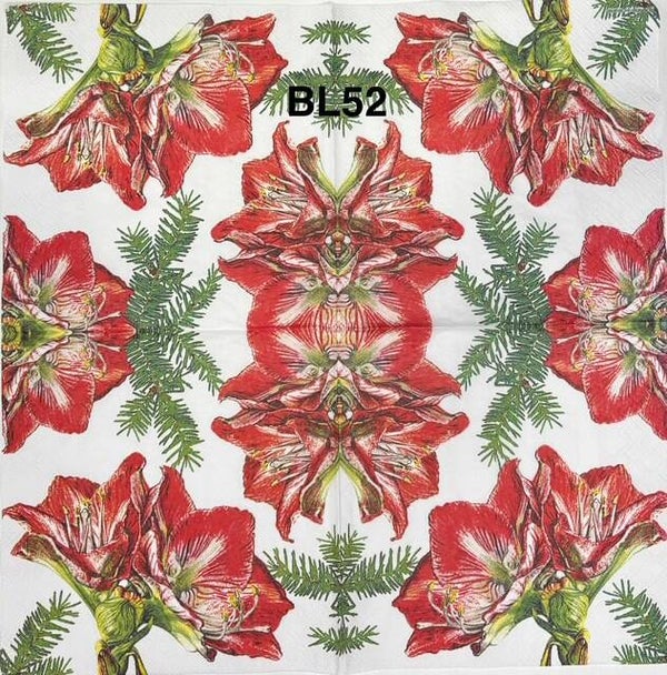 Christmas (BL52) - Red Amarillys