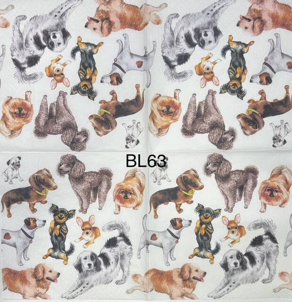 Dogs (BL63) - Assortment of Dogs