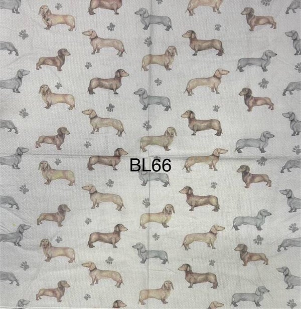 Dogs (BL66) - Dachshunds Wallpaper