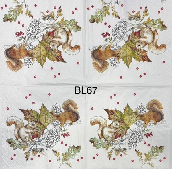 Animals (BL67) - Two Squirrels, One Eating a Nut