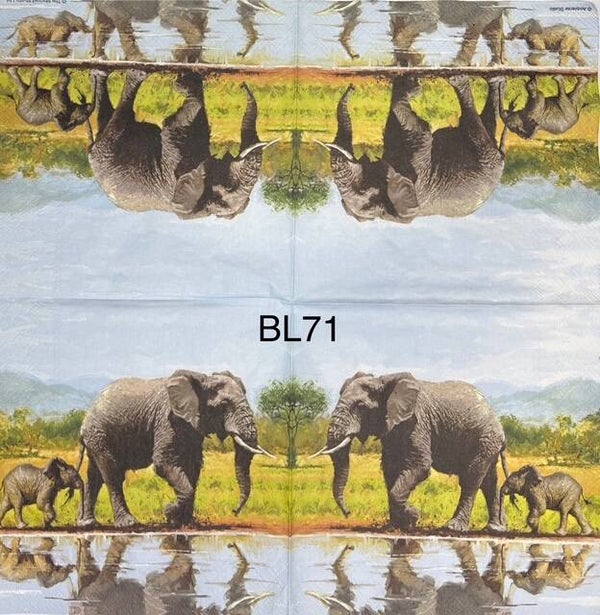 Animals (BL71) - Elephant Mom and Baby