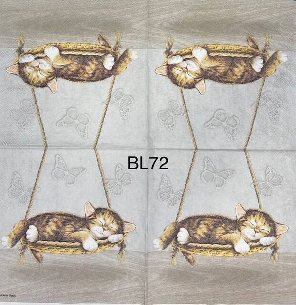 Cats (BL72) - Kitten Sleeping on Hammock