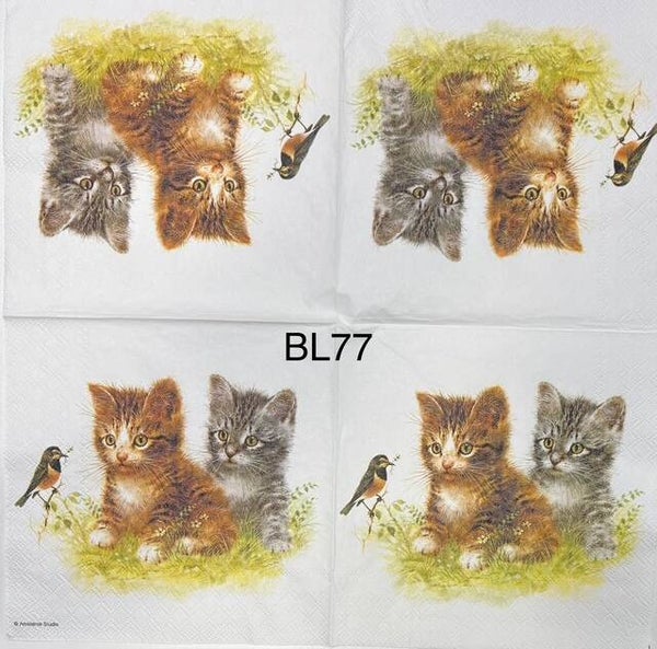 Cats (BL77) - Two Kittens Watching a Bird
