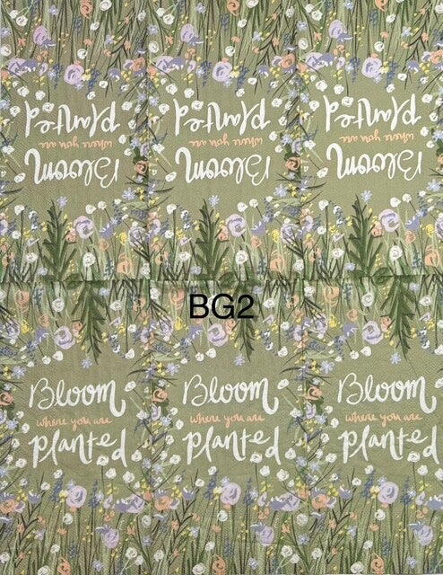 Garden (BG2) - Bloom Where you are Planted