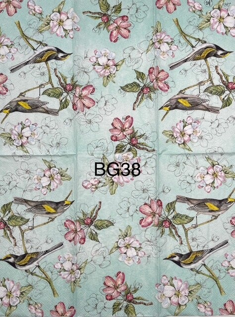 Birds (BG38) - Birds on Branches with Pink and White Flowers
