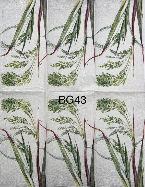 Plants (BG43) - Long Grasslike Plant