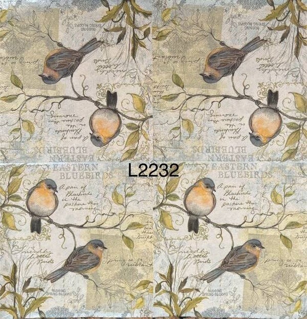 Birds (L2232) - Two Birds Sitting on Branch with Script in Background