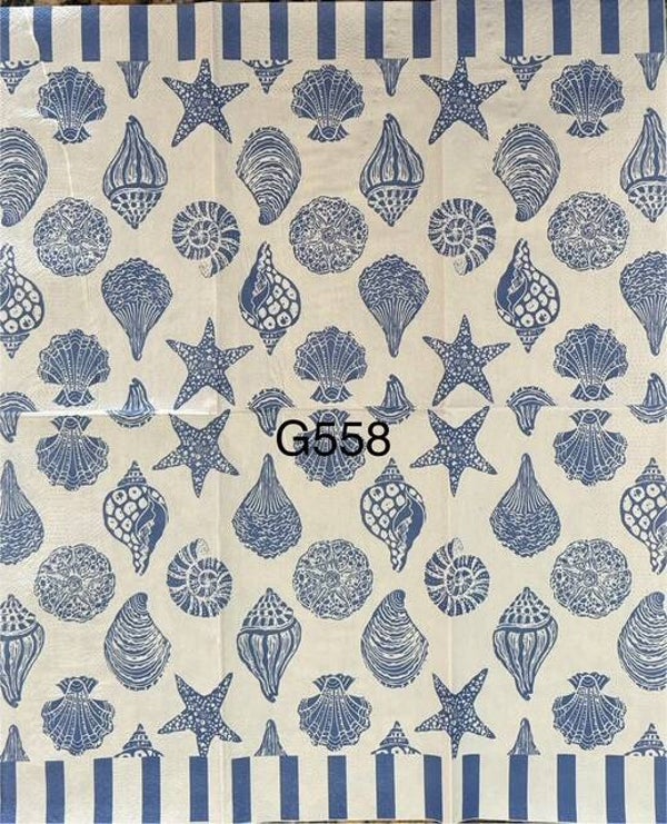 Beach (G558) - Shells