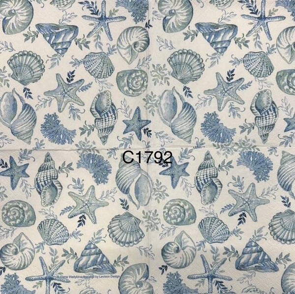 Beach (C1792) - Shells