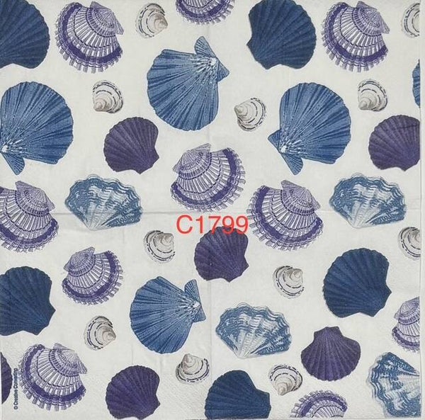 Beach (C1799) - Shells