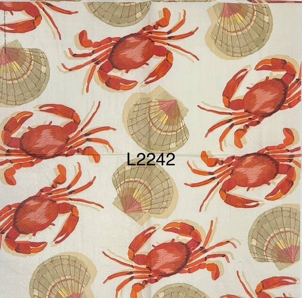 Beach (L2242) - Crabs and Shells