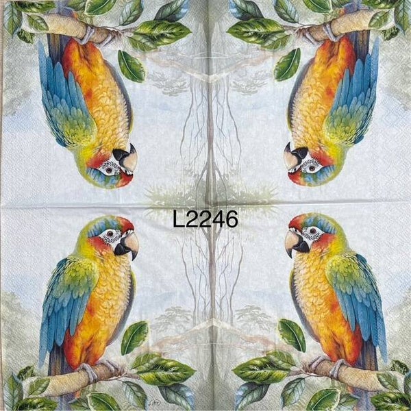 Birds (L2246) - Colorful Parrot