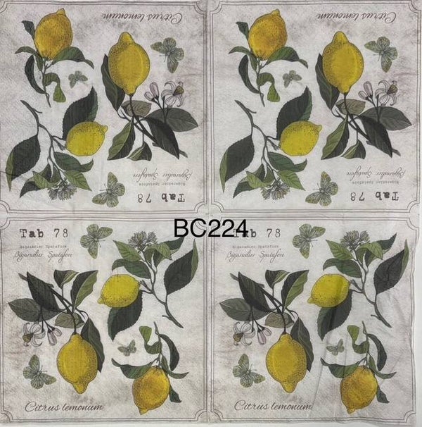 Fruits (BC224) - Lemons