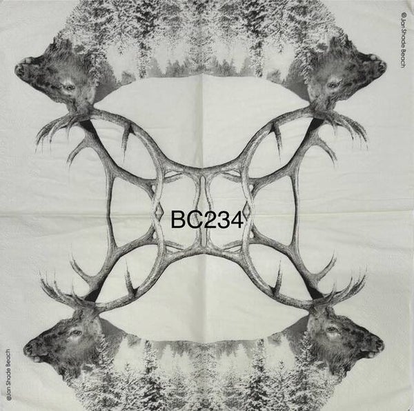 Deer (BC234) - Deer