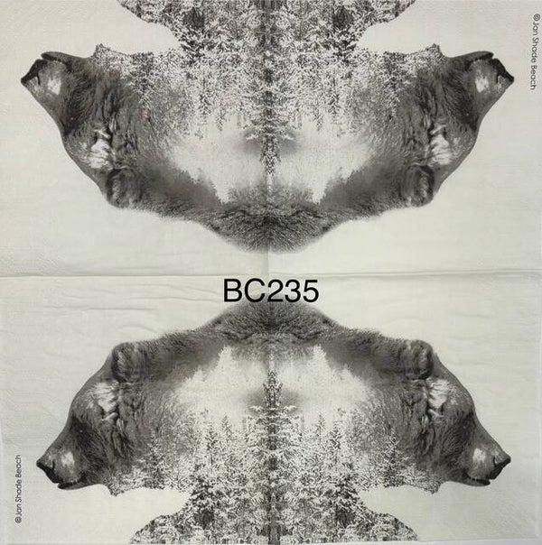 Animals (BC235) - Bear