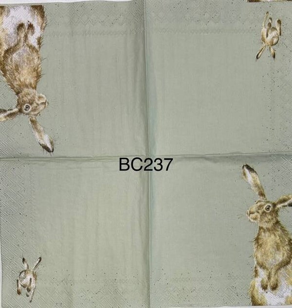 Animals (BC237) - Bunny