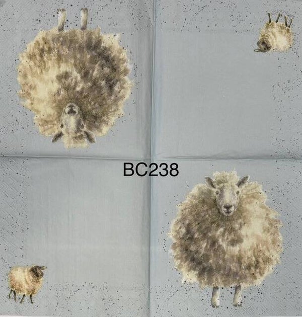 Animals (BC238) - Sheep