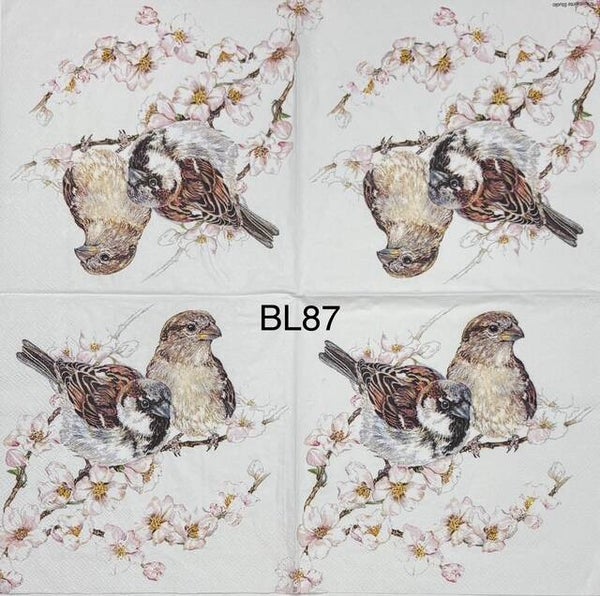Birds (BL87) - Two Brown Birds on Branch