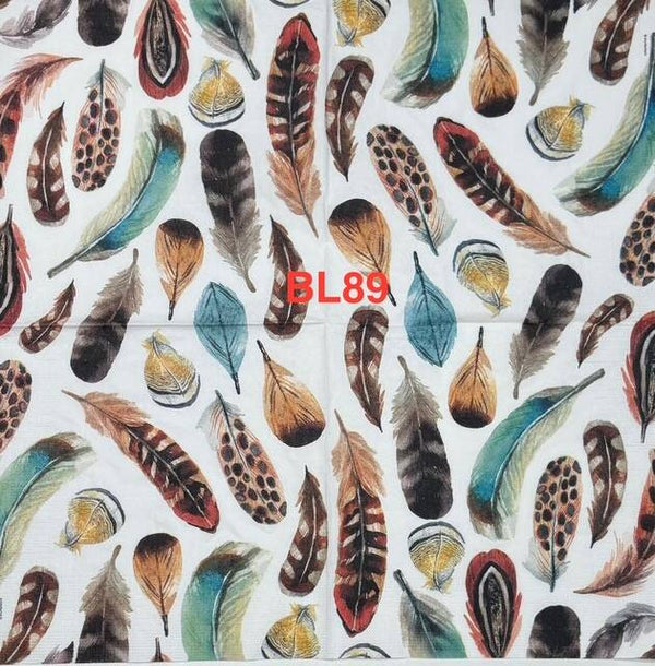 Birds (BL89) - Feathers