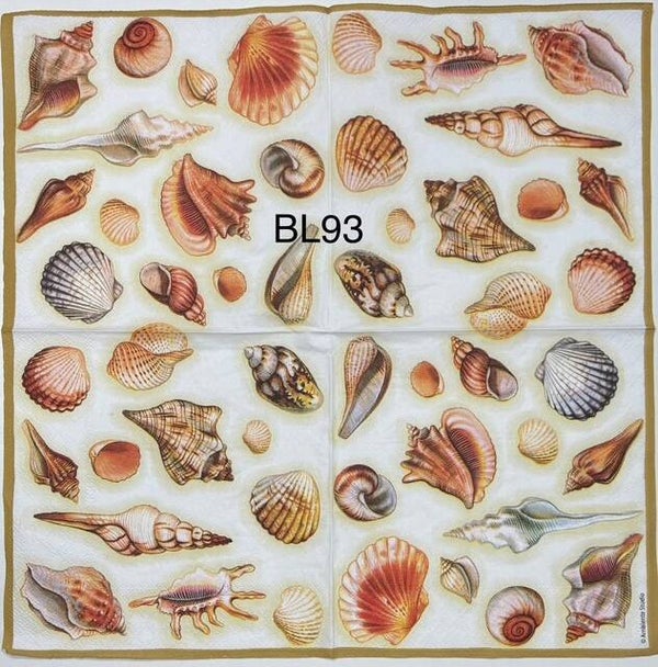 Beach (BL93) - Shells