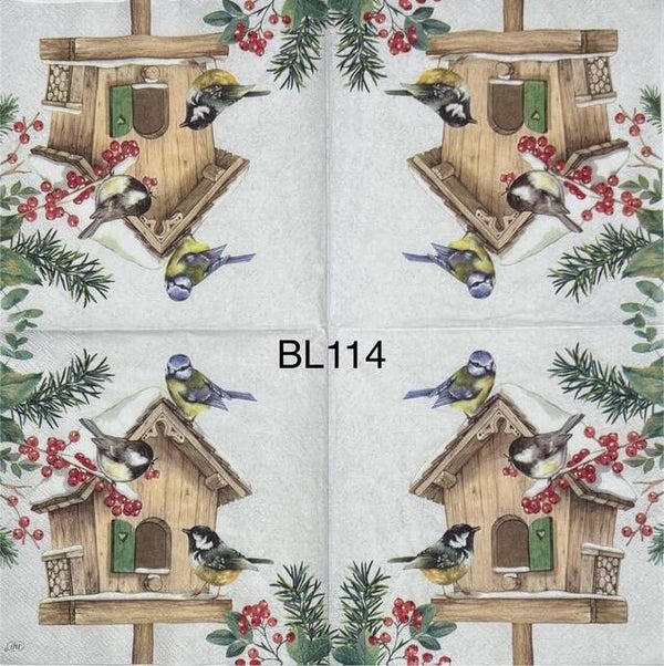 Winter (BL114) - Birdhouse with Birds Hanging Around it