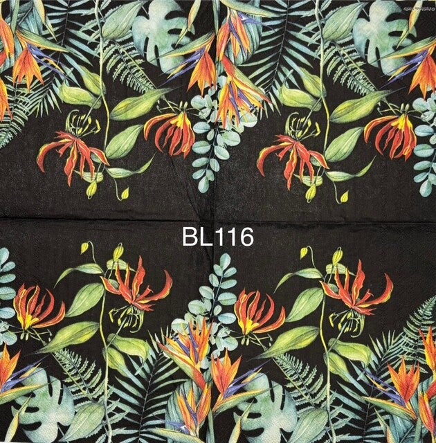 Flowers (BL116) - Orange Flowers with Black Background