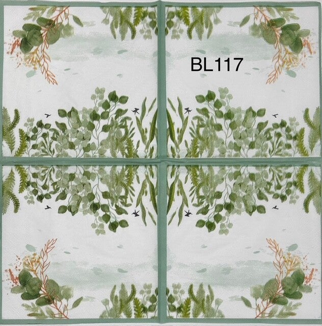 Plants (BL117) - Eucalyptus and Hummingbirds