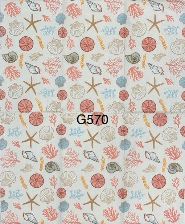 Beach (G570) - Shells