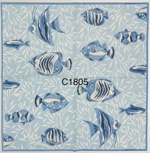 Beach (C1805) - Fish Swimming
