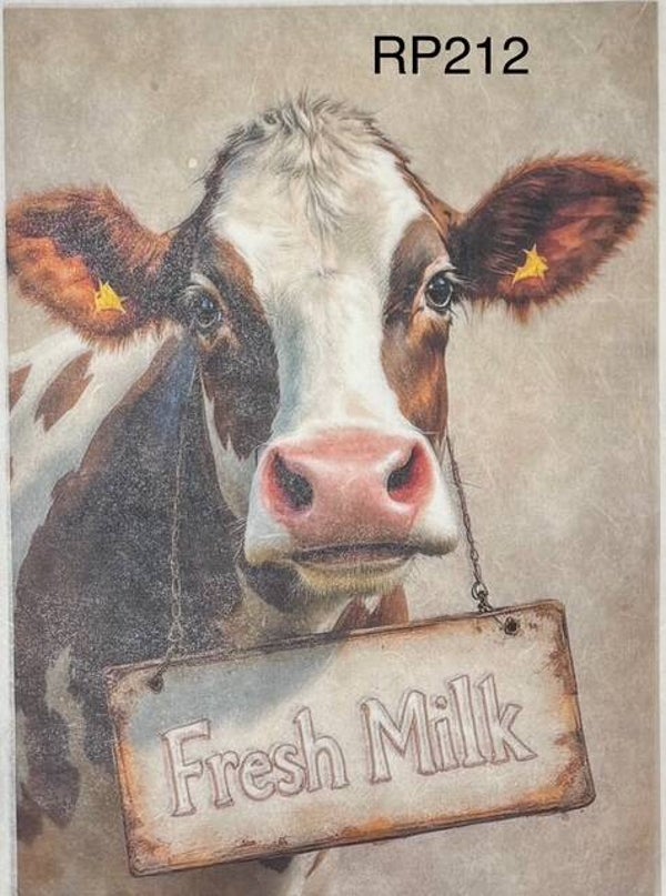Cows (RP212) - Fresh Milk Cow with Sign