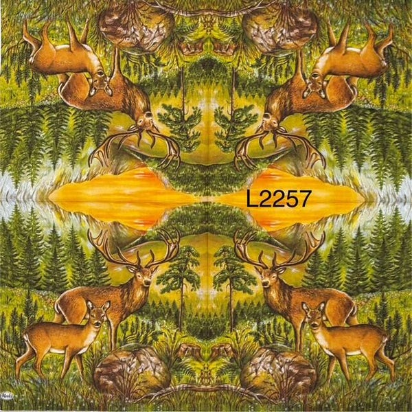 Deer (L2257) - Two Deer in the Wilderness