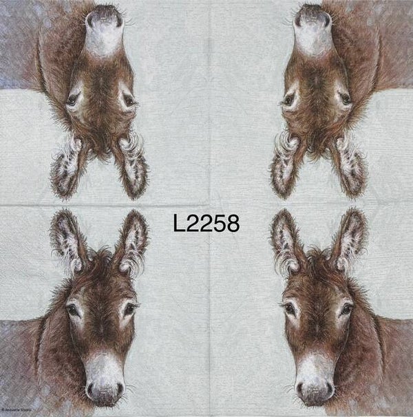Animals (L2258) - Donkey