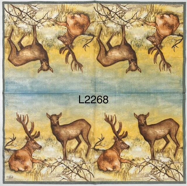 Deer (L2268) - Deers in the Wild