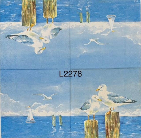 Beach (L2278) - Seaguls Standing on Wood Pilings