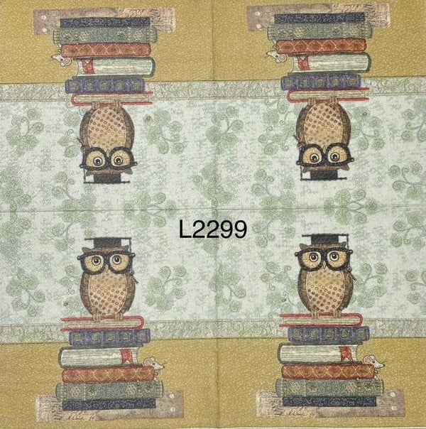 Birds (L2299) - Owl Sitting On Top of Stacked Books