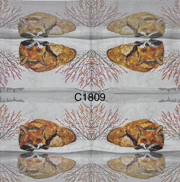 Animals (C1809) - Fox Reflection