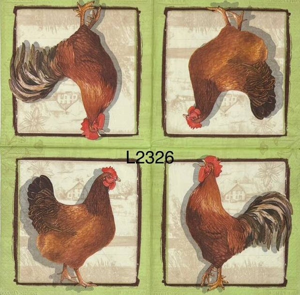 Birds (L2326) - Chicken and Rooster