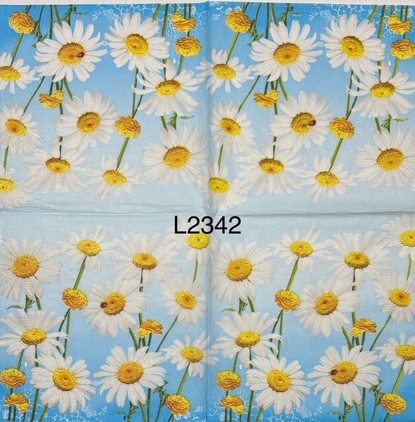 Flowers (L2342) - Daisies