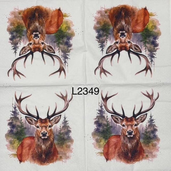 Deer (L2349) - Deer in the Forest