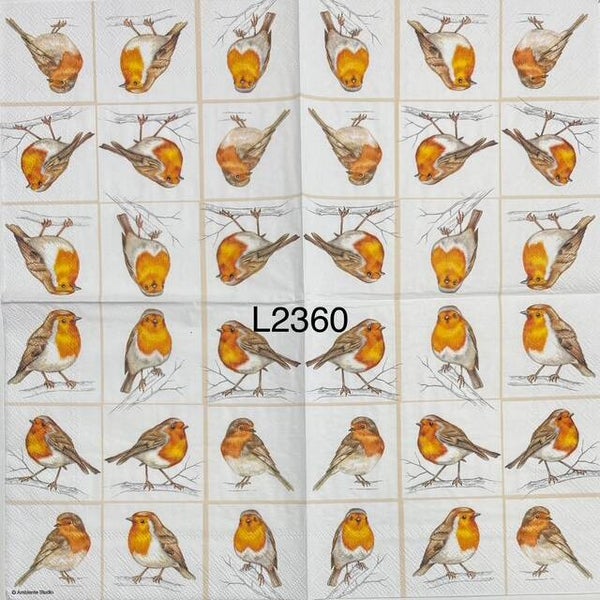 Birds (L2360) - Robins