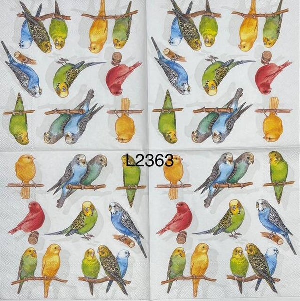 Birds (L2363) - Parakeets on Branches